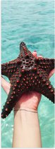 WallClassics - Poster Glossy - Étoile de Mer de l' Water - 20x60 cm Photo sur Papier Poster avec Finition Brillante