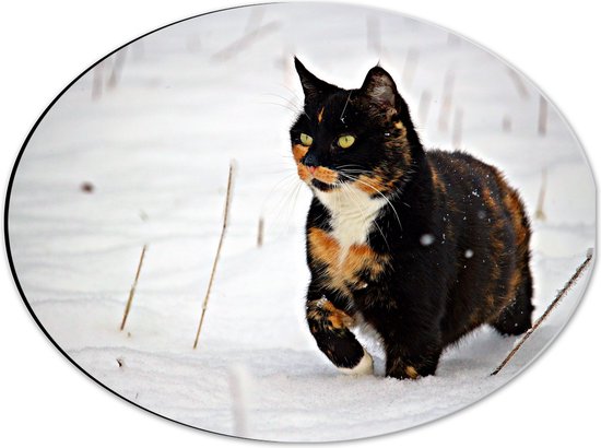 WallClassics - Dibond Ovaal - Zwarte Poes in de Sneeuw - 40x30 cm Foto op Ovaal (Met Ophangsysteem)