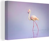 Canvas Schilderij Flamingo - Water - Roze - 30x20 cm - Wanddecoratie