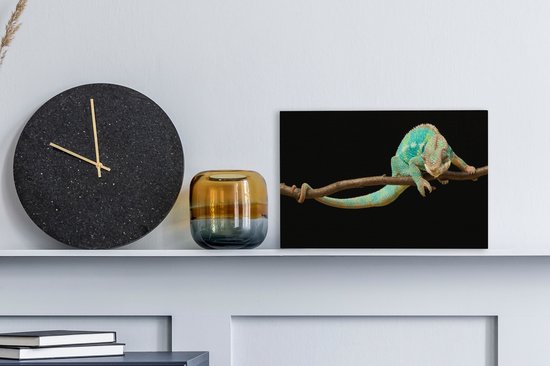 Studio shot caméléon sur toile branche 2cm 30x20 cm - petit - Tirage photo sur toile (Décoration murale salon / chambre) / animaux sauvages Peintures sur toile