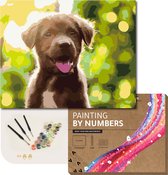 ARTECO® Schilderen Op Nummer – Painting By Numbers – Volwassenen + Kinderen – Met Frame – Schattige Puppy - Cadeau