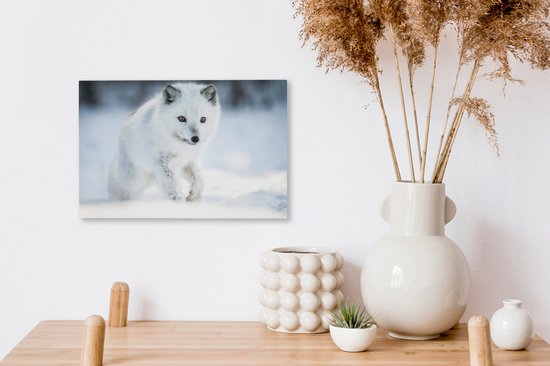 Arctic Fox traverse la neige 30x20 cm - petit - Tirage photo sur toile (Décoration murale salon / chambre) / animaux sauvages Peintures sur toile
