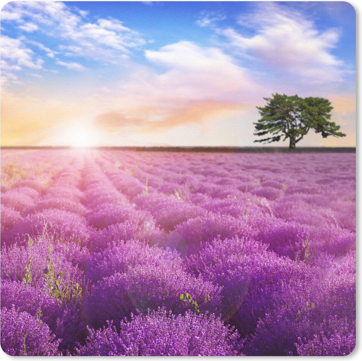 Muismat 30x30 cm - Mousepad Lavendel - Boom - Zonsondergang - Paars - Muismatten