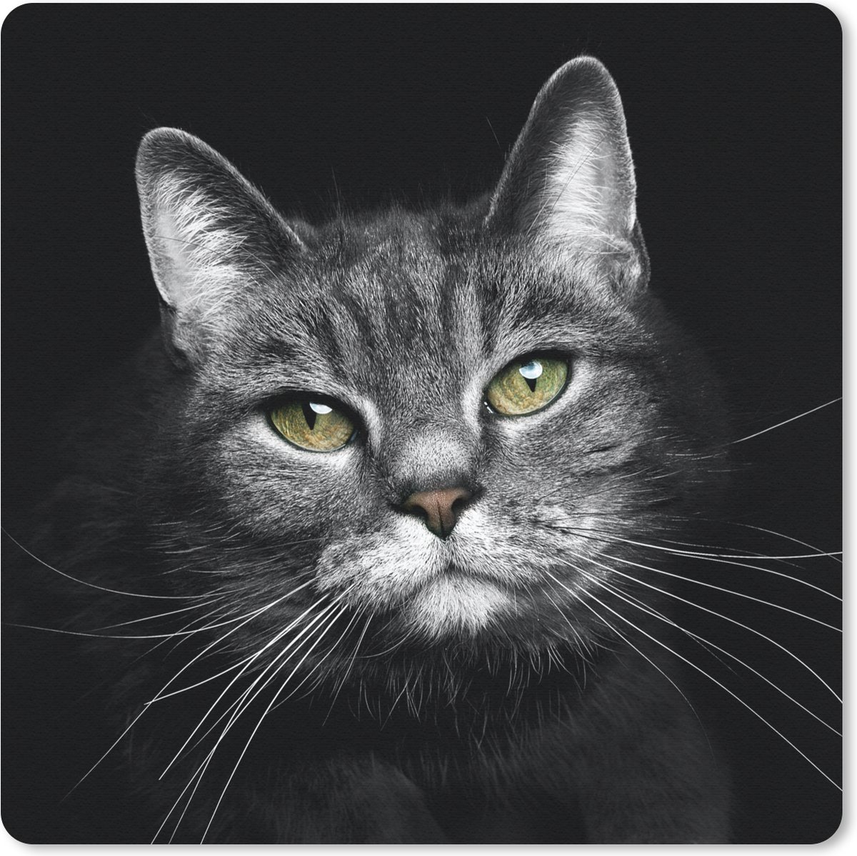 Muismat 20x20 cm - Mousepad Huisdieren - Kat - Dieren - Zwart - Wit - Muismatten