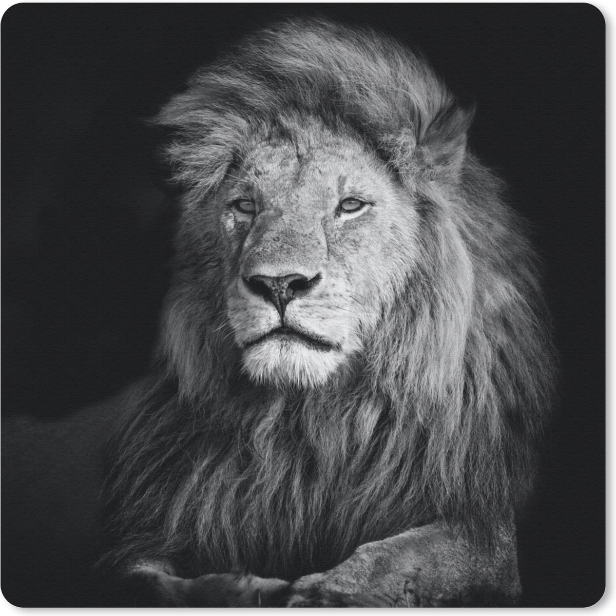 Muismat 30x30 cm - Mousepad Wilde dieren - Leeuw - zwart - Wit - Muismatten