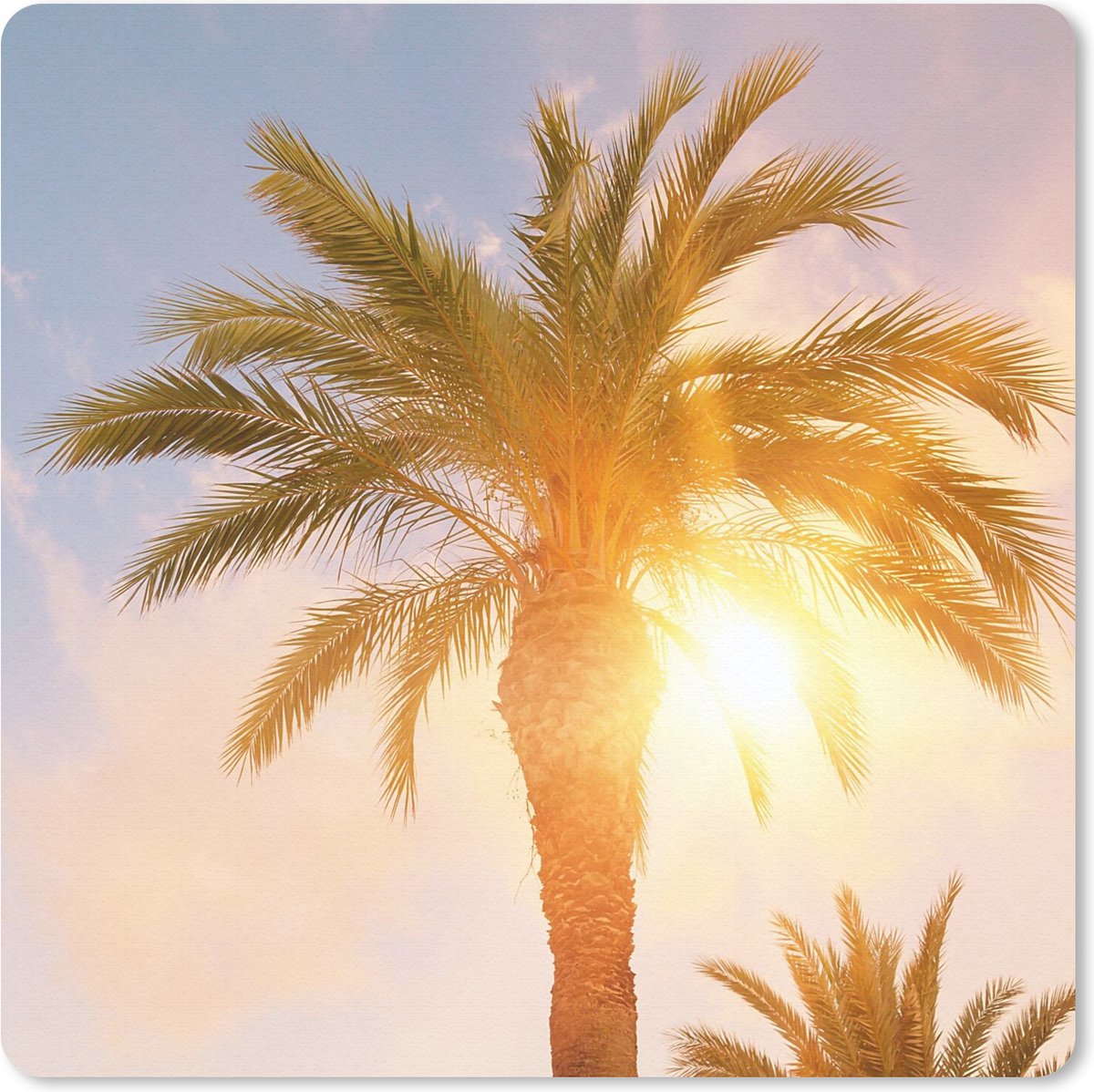 Muismat 30x30 cm - Mousepad Palmboom - Zomer - Zon - Tropical - Muismatten