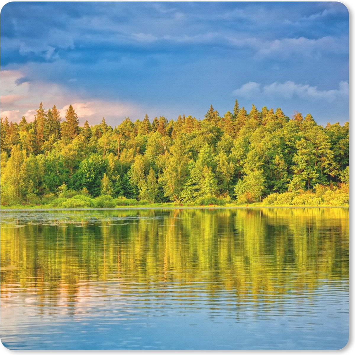 Muismat 30x30 cm - Mousepad Water - Natuur - Bos - Muismatten