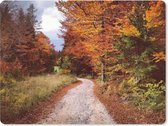 Muismat - Mousepad - Herfst - Herfstbladeren - Pad - Bos - 23x19 cm - Muismatten