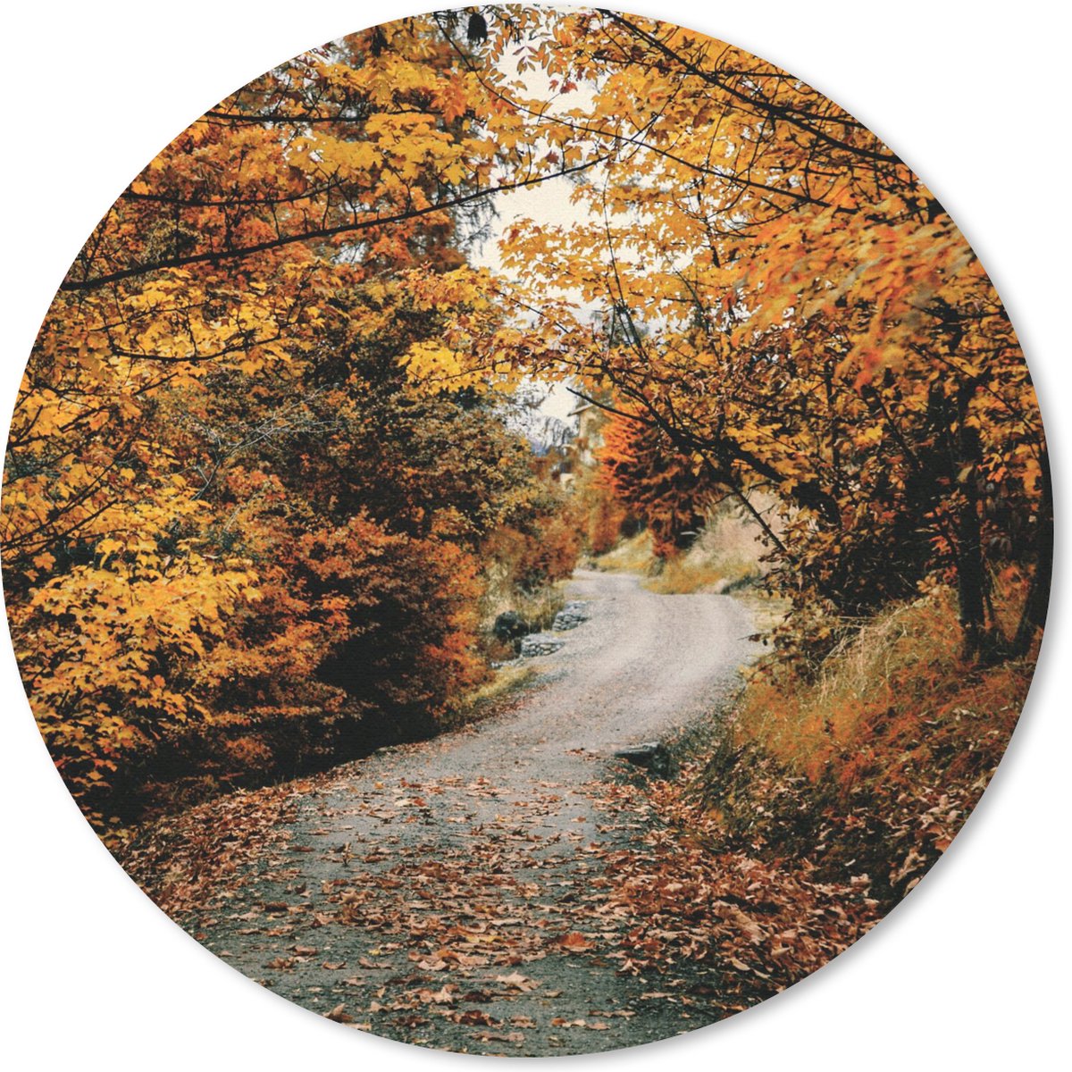 Muismat - Mousepad - Rond - Herfstbos - Pad - Bladeren - Landelijk - 50x50 cm - Ronde muismat