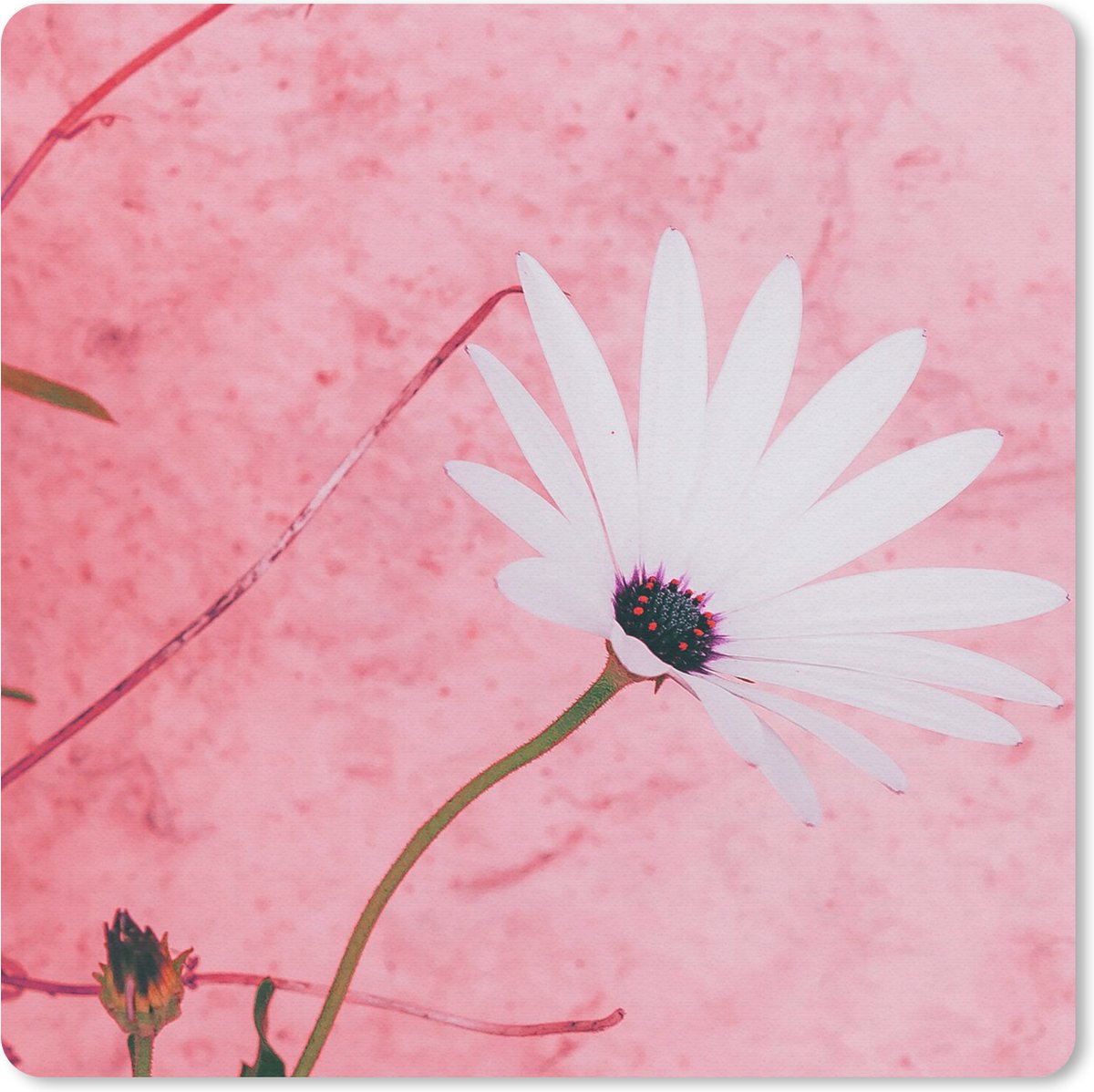 Muismat 20x20 cm - Mousepad Bloemen - Roze - Vintage - Muismatten