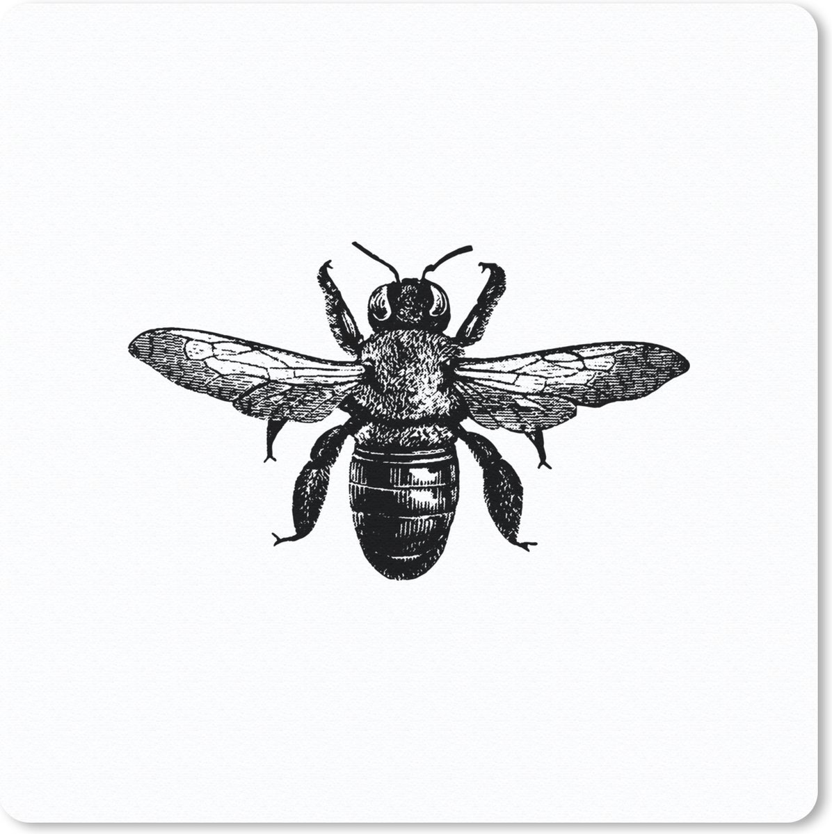 Muismat 30x30 cm - Mousepad Bij - Insect - Vintage - Zwart wit - Muismatten