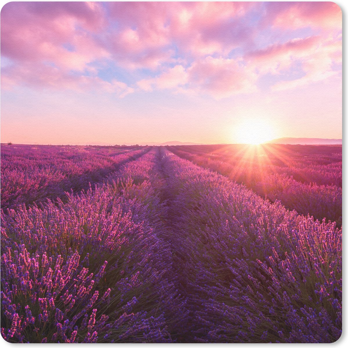 Muismat 20x20 cm - Mousepad Lavendel - Bloemen - Frankrijk - Muismatten