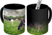 Mug Magique - Photo sur Mugs Chauffants - Tasse à Café - Vaches - Pâturage - Nature - Animaux - Paysage - Mug Magic - Tasse - 350 ML - Tasse à Thé