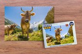Puzzel Koeien - Zon - Oostenrijk - Legpuzzel - Puzzel 1000 stukjes volwassenen