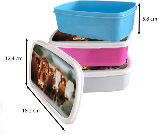 Lunchbox Blauw - Lunchbox - Boîte à pain - Vaches - Herbe - Clôture - 18x12x6 cm - Enfants - Garçon