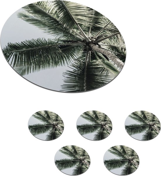 Sous-verres pour verres - Rond - Palmier - Tropical - Été - 10x10 cm - Sous-verres en verre - 6 pièces