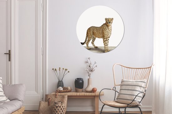 Cheetah Animal Print Nursery Wall Circle Assiette en plastique ⌀ 90 cm - impression photo sur cercle mural / cercle vivant (décoration murale)