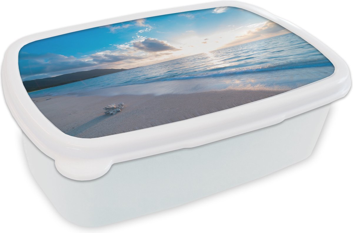 Broodtrommel Wit - Lunchbox - Brooddoos - Strand - Zee - Schelp - 18x12x6 cm - Volwassenen