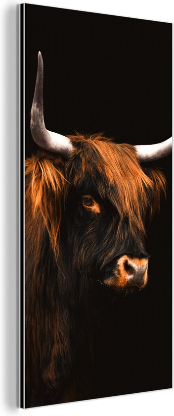 Décoration murale Métal - Peinture Aluminium Industriel - Highlander Ecossais - Fourrure - Vache - 20x40 cm - Dibond - Photo sur aluminium - Décoration murale industrielle - Pour le salon/chambre