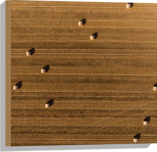 WallClassics - Hout - Bovenaanzicht van Hooibalen op Landbouwgrond - 50x50 cm - 12 mm dik - Foto op Hout (Met Ophangsysteem)