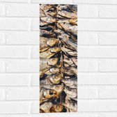 WallClassics - Muursticker - Verse Vissen op een Vismarkt - 20x60 cm Foto op Muursticker