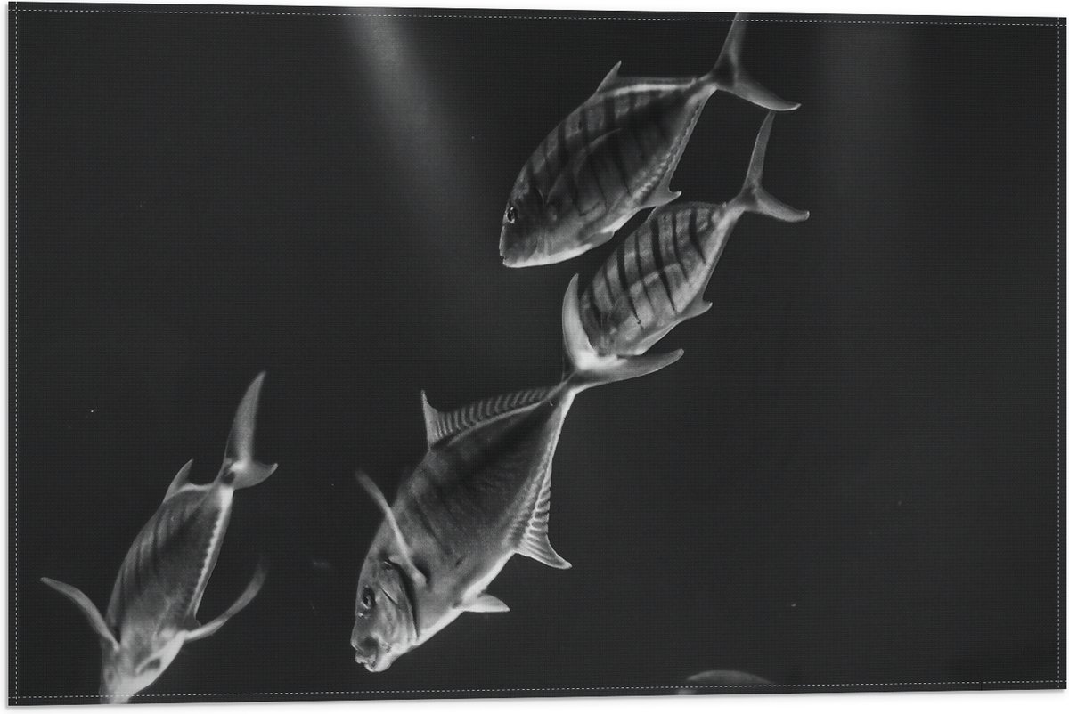 Vlag - Vissen in het Aquarium Zwart - Wit - 60x40 cm Foto op Polyester Vlag