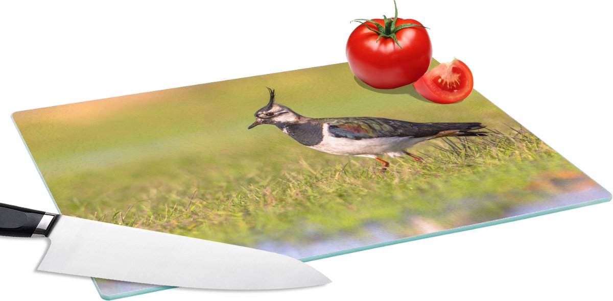 Glazen Snijplank - 39x28 - Vogel - Gras - Natuur - Dieren - Kievit - Snijplanken Glas