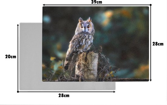 Planche à découper en Verres - 39x28 - Hibou - Automne - Vogel - Branches - Planches à découper en Glas