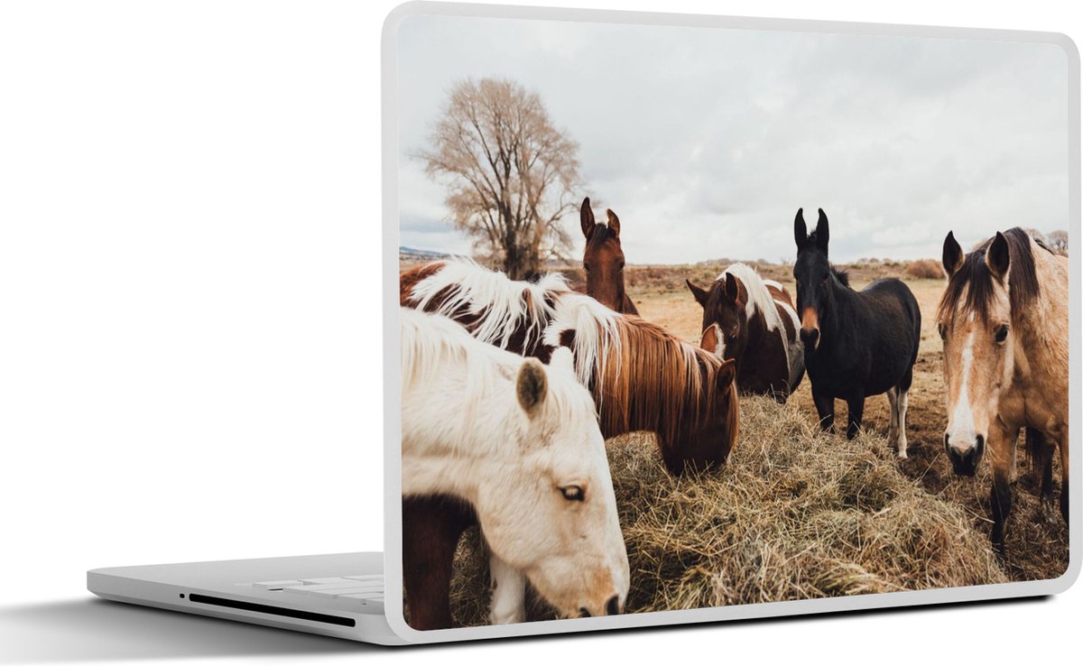 Laptop sticker - 12.3 inch - Dieren - Paard - Paarden - 30x22cm - Laptopstickers - Laptop skin - Cover