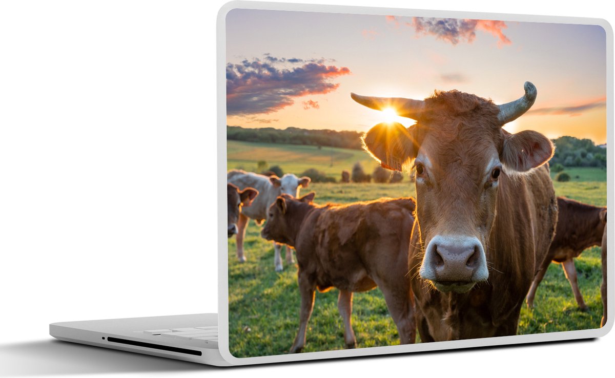 Laptop sticker - 11.6 inch - Koeien - Zon - Weiland - Platteland - 30x21cm - Laptopstickers - Laptop skin - Cover