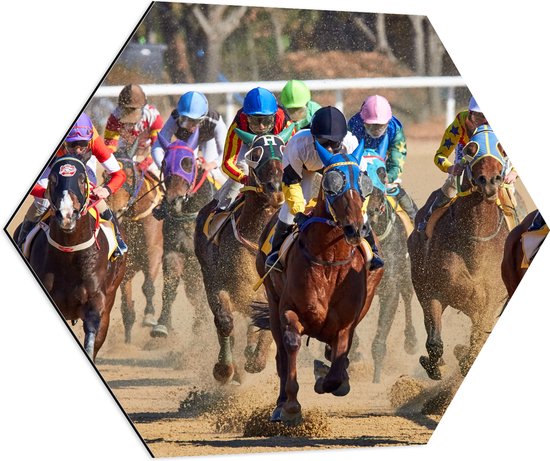 WallClassics - Dibond Hexagon - Paarden Race - 70x60.9 cm Foto op Hexagon (Met Ophangsysteem)