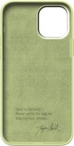 Nudient Bold Case Apple iPhone 12/12 Pro Leafy Green
