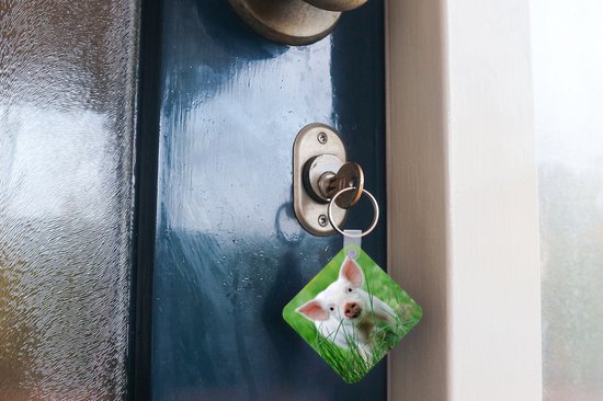 Porte-clés - Cadeaux - Cochon - Animaux - Porcelet - Plastique
