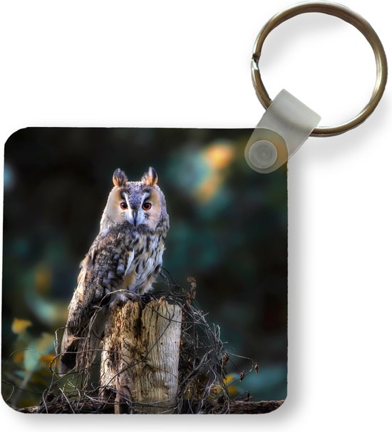 Sleutelhanger uil stof - Spirituele winkel