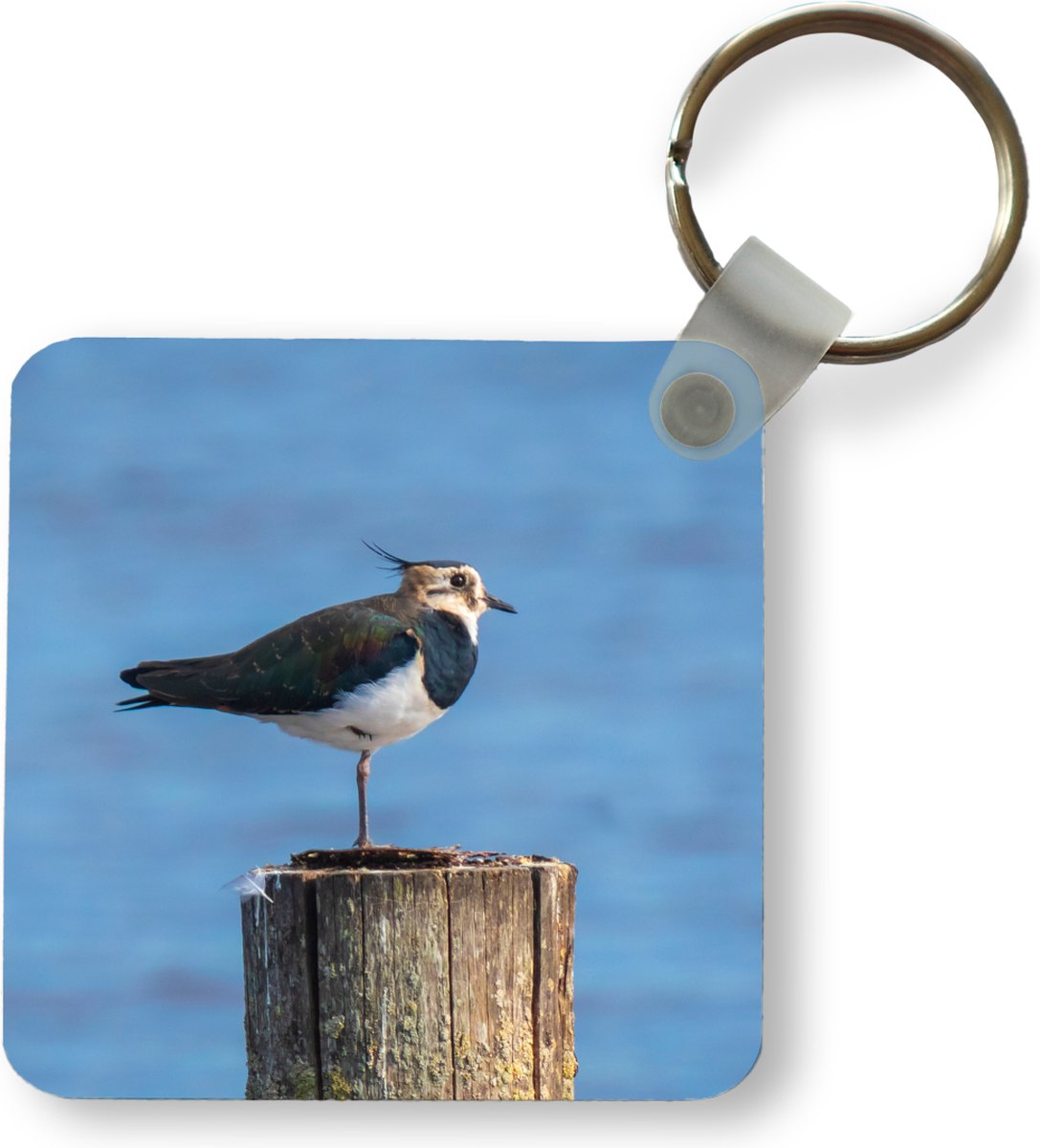 WEVENI Cute Taube Schlüsselanhänger Charms Acryl Taube