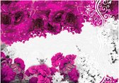 Papier peint photo - Couleurs du printemps : fuchsia