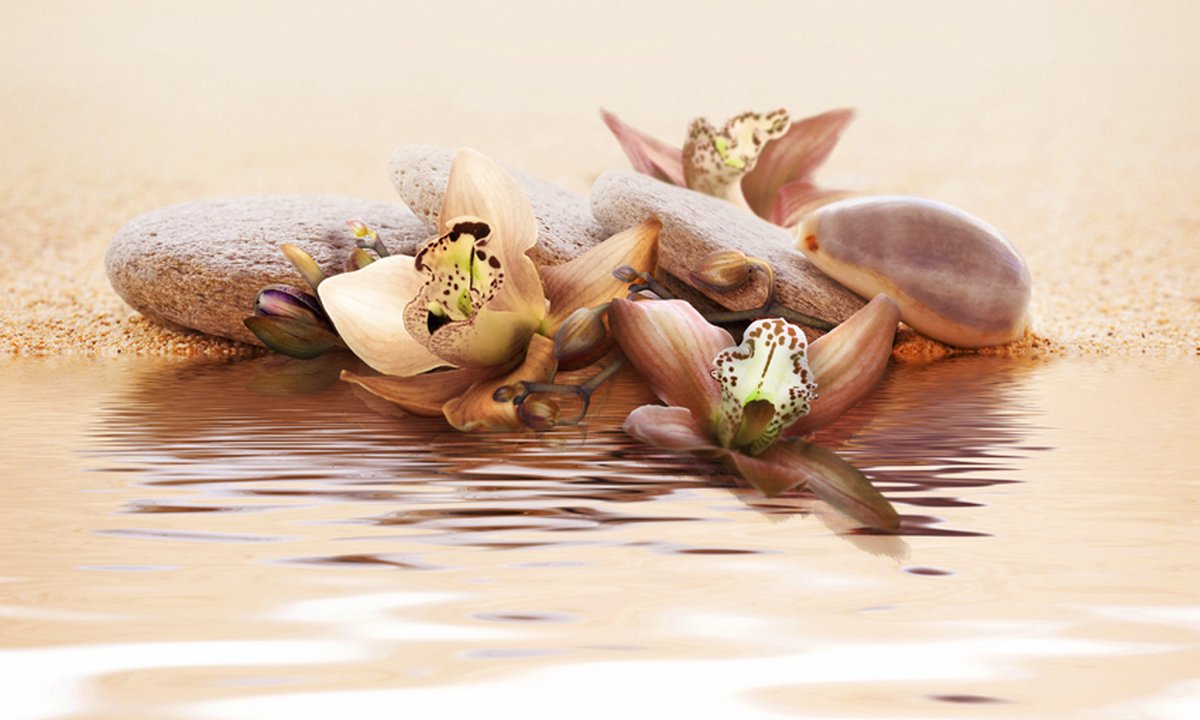 Fotobehang - strand  - waterlelies.