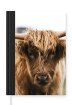 Notitieboek - Schrijfboek - Schotse Hooglander - Koe - Gras - Dieren - Natuur - Notitieboekje klein - A5 formaat - Schrijfblok