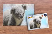 Puzzel Koala - Close up - Dier - Kinderen - Jongens - Meiden - Legpuzzel - Puzzel 1000 stukjes volwassenen