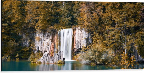 WallClassics - Dibond - Waterval vanuit het Bos in een Meer - 100x50 cm Foto op Aluminium (Met Ophangsysteem)