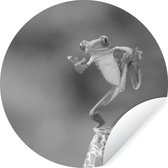 Grenouille macaron aux yeux rouges au Costa Rica en noir et blanc Sticker mural cercle mural 50x50 cm / cercle papier peint / cercle mural / cercle vivant - autocollant et coupe ronde