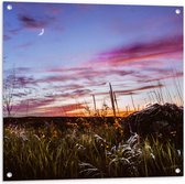 WallClassics - Tuinposter – Roze Wolken in de Lucht - 80x80 cm Foto op Tuinposter  (wanddecoratie voor buiten en binnen)