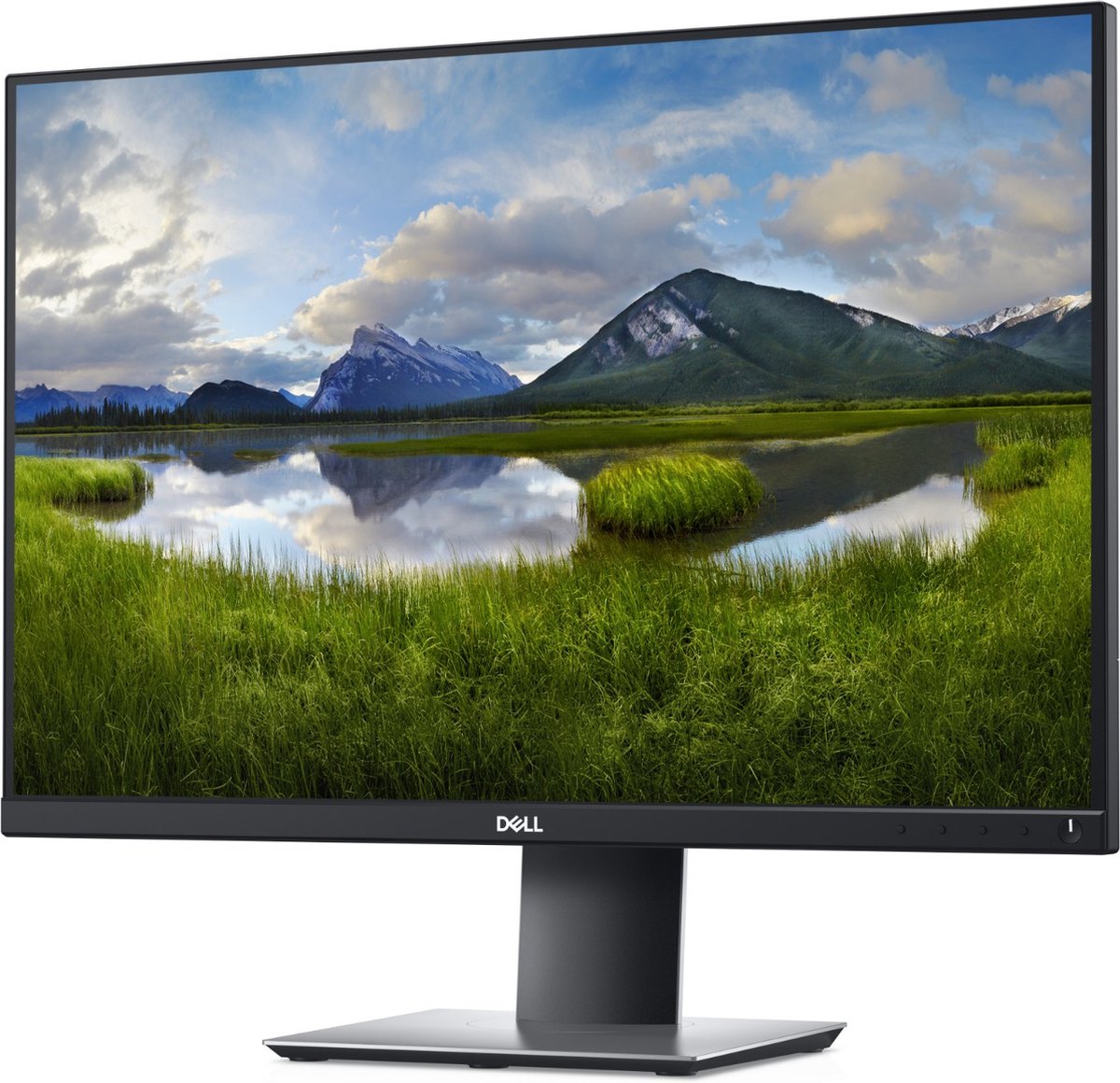 Dell P2421 - WUXGA Monitor - 24 inch