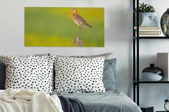 Toile - Tableau - Vogel - Animaux - Barge à queue noire - Perche - Vert - Peintures sur toile - Photo sur toile - 80x40 cm - Décoration murale - Salon