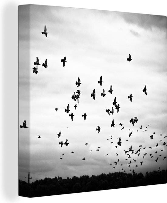 Canvas schilderij - Dieren - Vogels - Wolken - Zwart - Wit - Woonkamer - 20x20 cm - Canvas doek - Foto op canvas