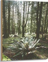 WallClassics - Hout - Grote Groene Varenplant in Bos - 75x100 cm - 12 mm dik - Foto op Hout (Met Ophangsysteem)