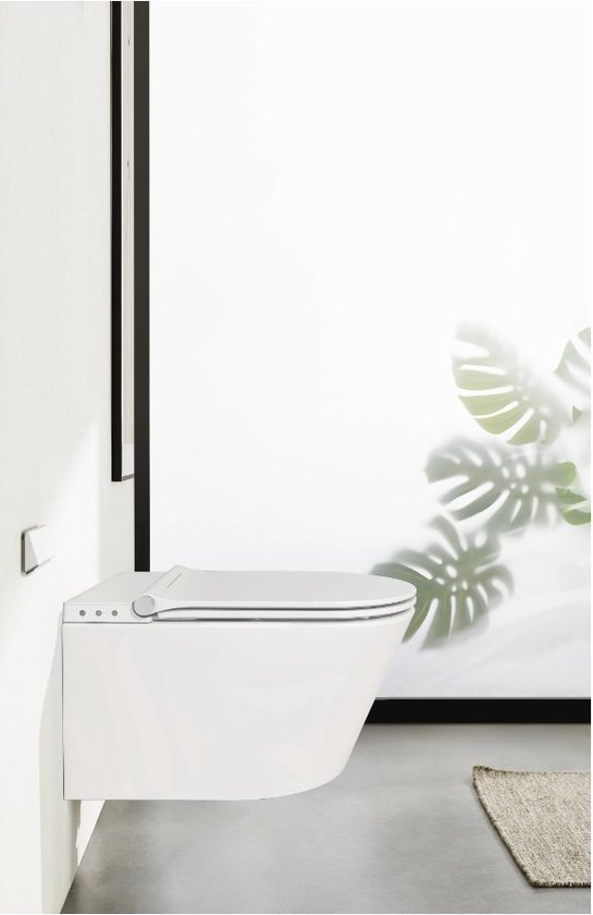 Royal plaza Juglans Douche WC Randloos met fohn en ladydouche