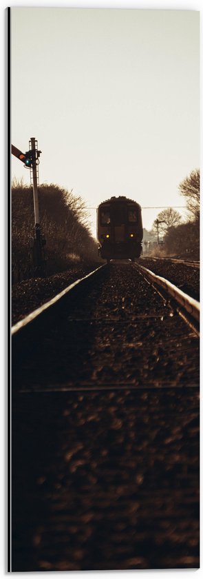 WallClassics - Dibond - Aankomende Trein op Rails - 20x60 cm Foto op Aluminium (Wanddecoratie van metaal)