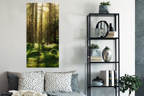 Affiche Arbres - Forêt - Mousse - Plantes - Soleil - Nature - 60x120 cm