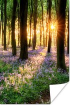 Poster Bos - Bloemen - Lavendel - Bomen - Bos - Zon - Paars - Natuur - 80x120 cm